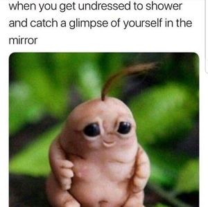 Meet your Posher, Hillary